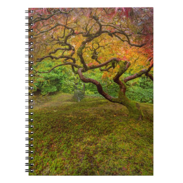 Japanese maple tree in autumn color notebook (Front)