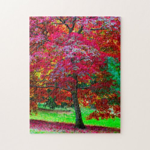 Japanese Maple Tree Jigsaw puzzle