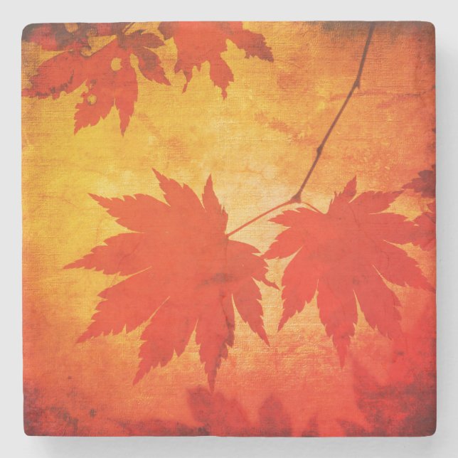 Japanese maple tree leaf script fall orange stone coaster (Front)