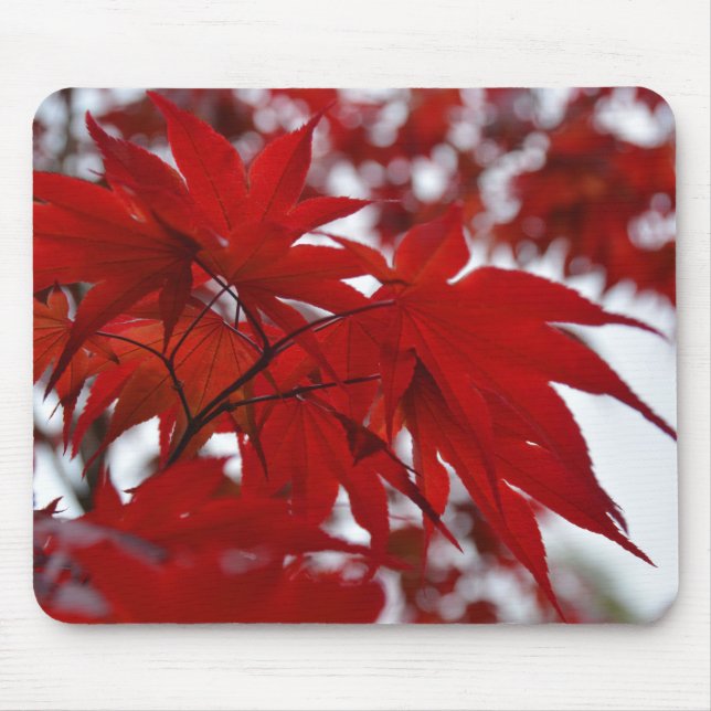 Japanese Maple Tree Mouse Pad (Front)