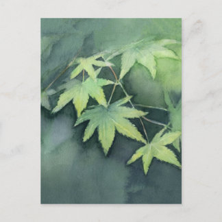 Japanese Maple Watercolor Postcard