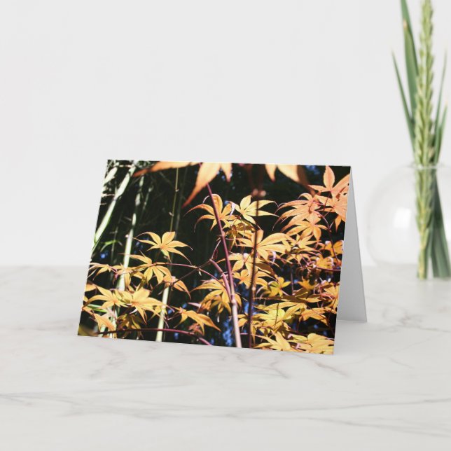 Japanese Maples 5 Floral Photography HGC Card (Front)
