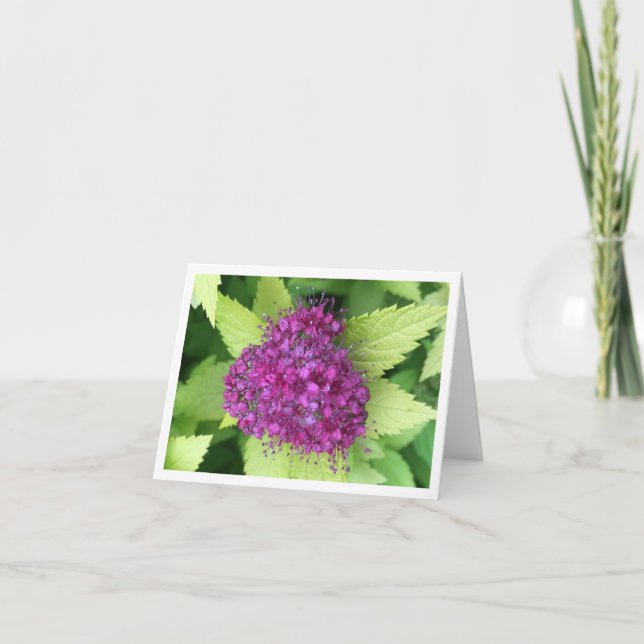 Japanese Meadowsweet Letterpress Thank You Card (Front)