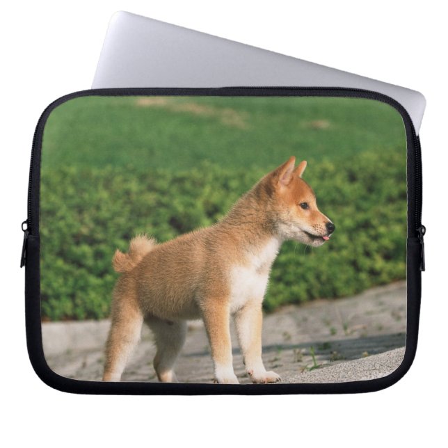 Japanese Midget Shiba 2 Laptop Sleeve (Front)