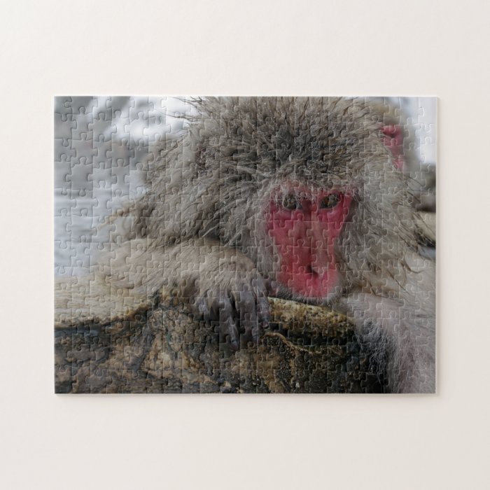 Japanese monkey relaxing in hot spring puzzle