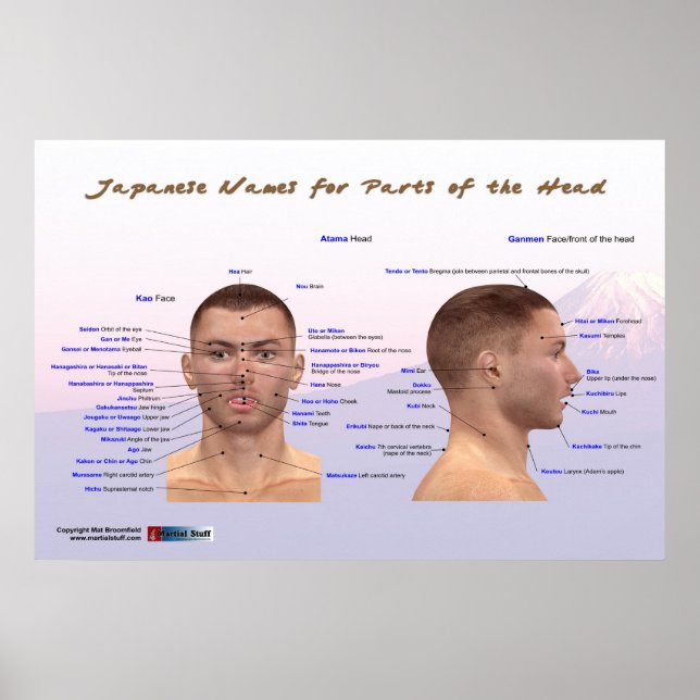 Japanese Names for Parts of the Head Poster (Front)