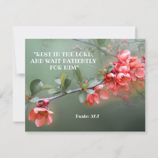 Japanese Ornamental Quince with Bible quotation Card (Front)