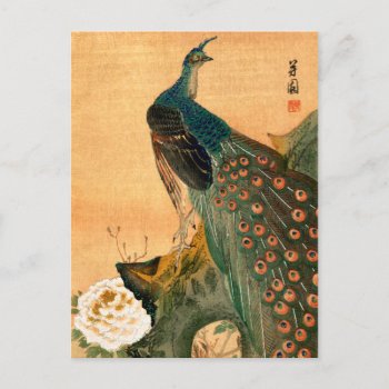 Japanese Peacock No.2 Postcard by historicimage at Zazzle