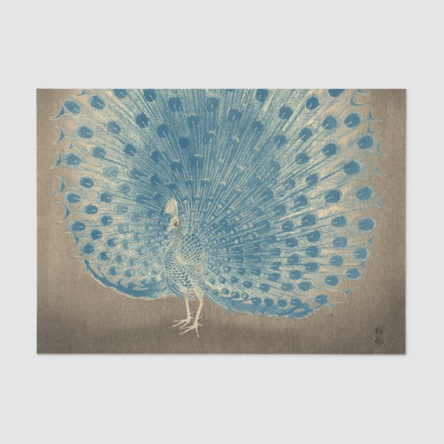 JAPANESE PEACOCK Tissue Paper (Front)