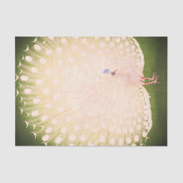 JAPANESE PEACOCK Tissue Paper (Front)