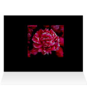 Japanese Peonies Cards (Inside Horizontal (Top))