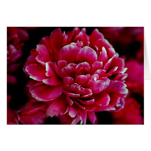 Japanese Peonies Cards (Front Horizontal)