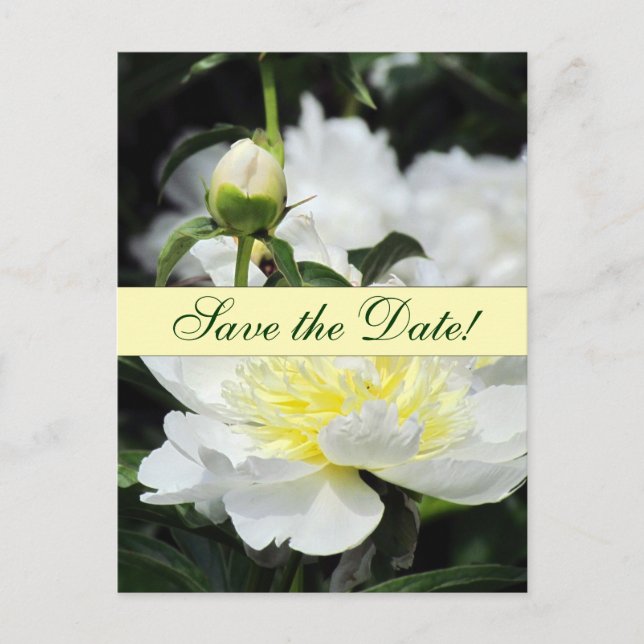 Japanese Peonies Save the Date Announcement Postcard (Front)