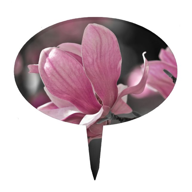 Japanese Pink Saucer Magnolia Cake Topper (Front)