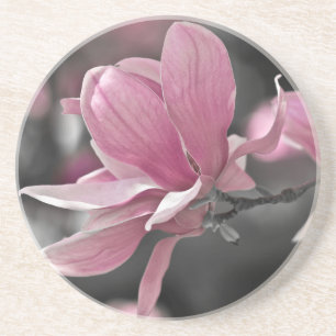 Japanese Pink Saucer Magnolia Drink Coaster