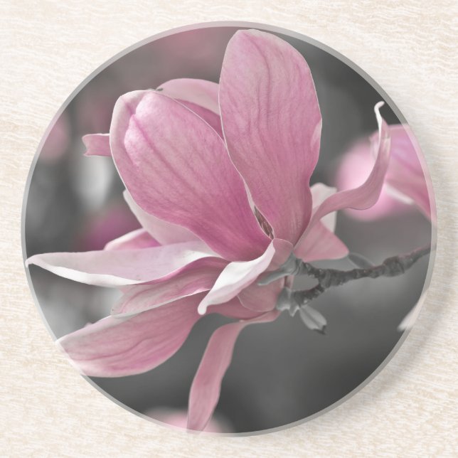 Japanese Pink Saucer Magnolia Drink Coaster (Front)