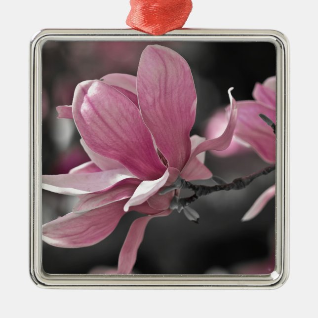Japanese Pink Saucer Magnolia Metal Ornament (Front)