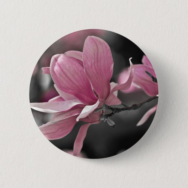 Japanese Pink Saucer Magnolia Pinback Button (Front)