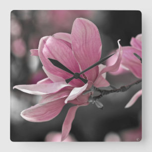 Japanese Pink Saucer Magnolia Square Wall Clock