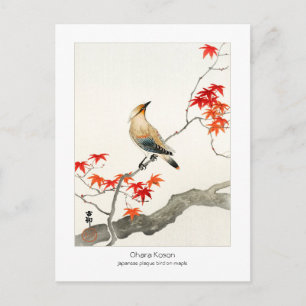 Japanese plague bird on maple - Ohara Koson - Postcard