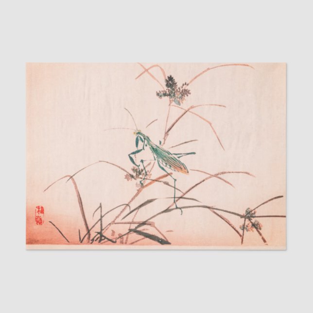 JAPANESE PRAYING MANTIS PINK Tissue Paper (Front)