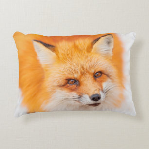 Japanese red fox resting, sleeping and playing in  accent pillow