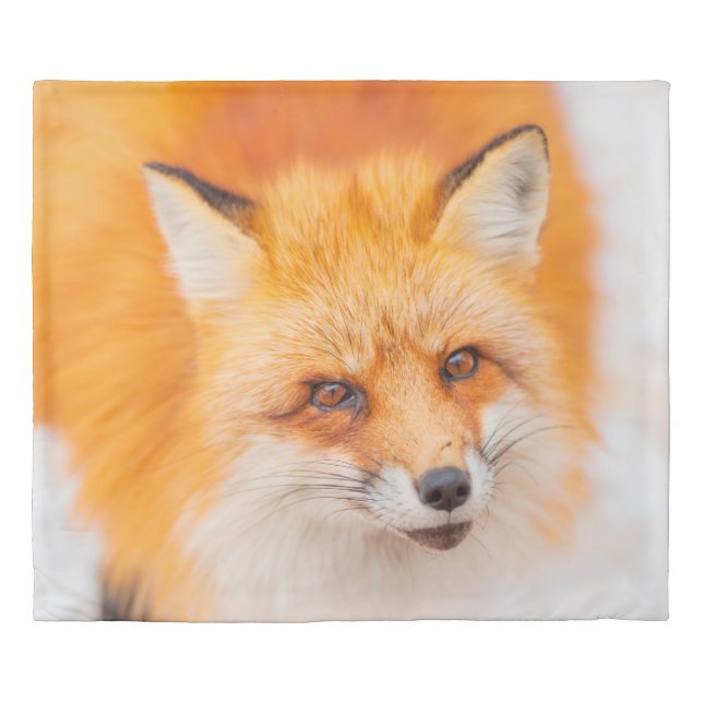 Japanese red fox resting, sleeping and playing in  duvet cover (Front)