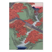 Japanese red maple (Front)