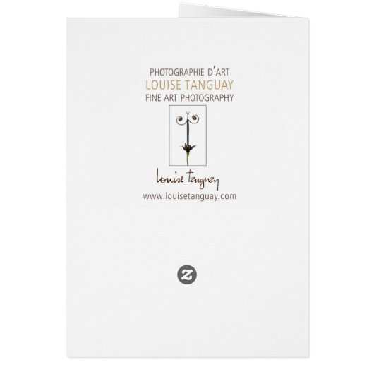 Japanese Red Maple Art Photography L (Back)