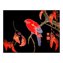 Japanese Red Parrot on tree branch by Ito Jakuchu