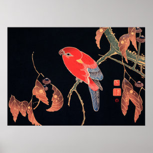 Japanese Red parrot vintage design art ポスター Poster