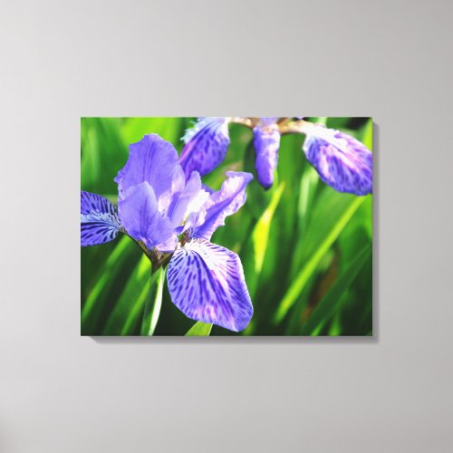 Japanese Roof Iris Wrapped Canvas