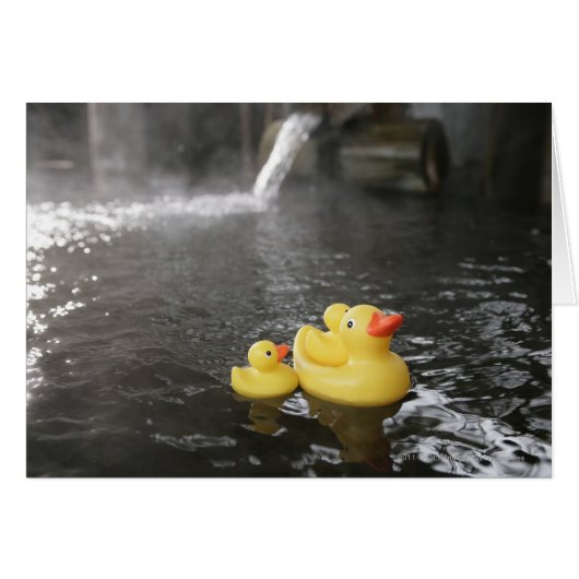 Japanese Rubber Duckies Cards (Front Horizontal)