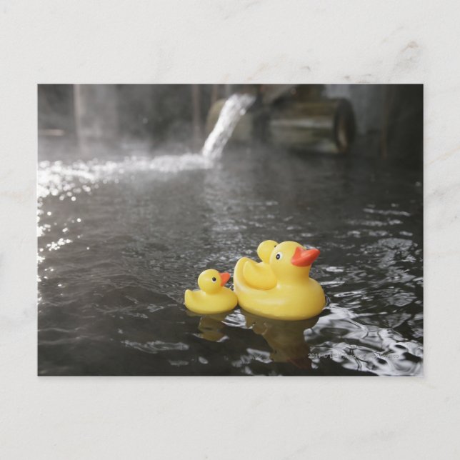 Japanese Rubber Duckies Postcard (Front)