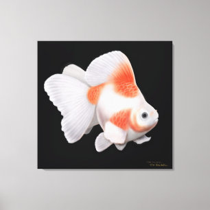 Japanese Ryukin Fantail Goldfish Wrapped Canvas Print