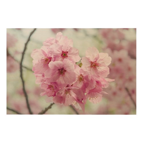 Japanese Sakura Art _ A Colorful Botanical Print