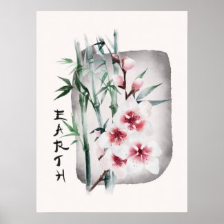 Japanese Sakura Pink Cherry Blossoms Nature Earth 