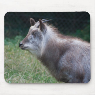 Japanese Serow Mouse Pad