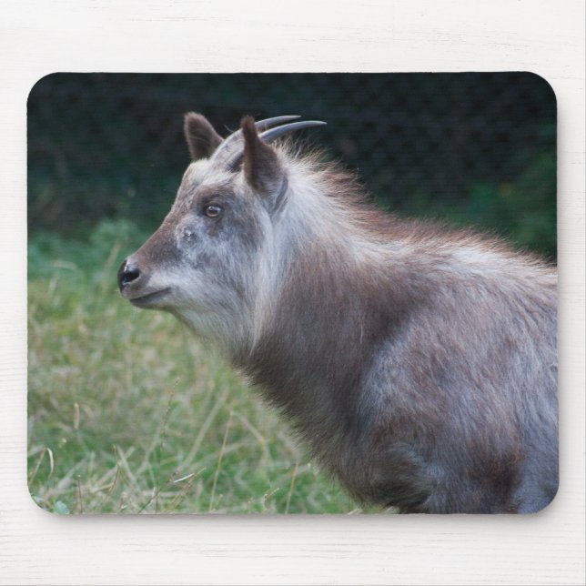 Japanese Serow Mouse Pad (Front)