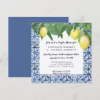 Japanese Shibori Blue n White Lemon Couples Shower