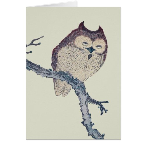 Japanese Sleeping Owl Night Artwork