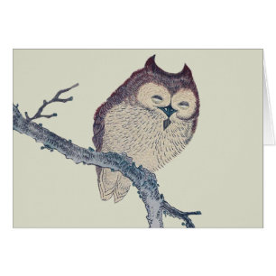 Japanese Sleeping Owl Night Artwork Cards