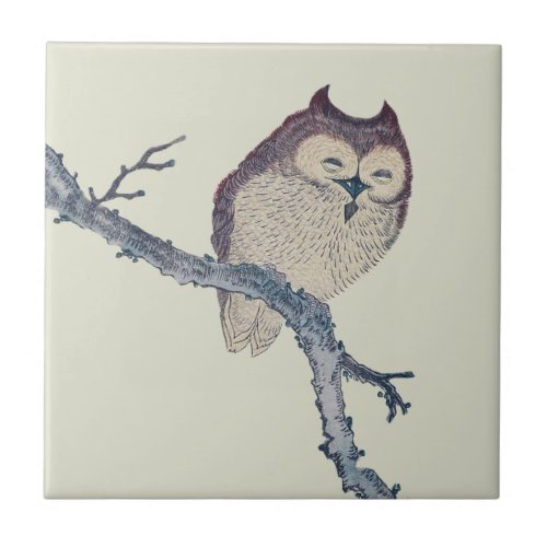 Japanese Sleeping Owl Night Artwork Ceramic Tile