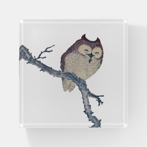 Japanese Sleeping Owl Night Artwork Paperweight