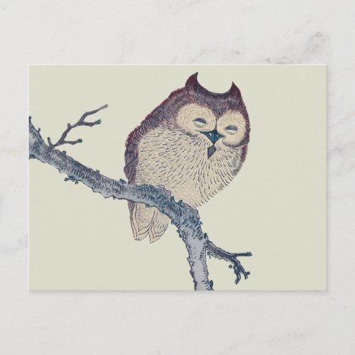 Japanese Sleeping Owl Night Artwork Postcard