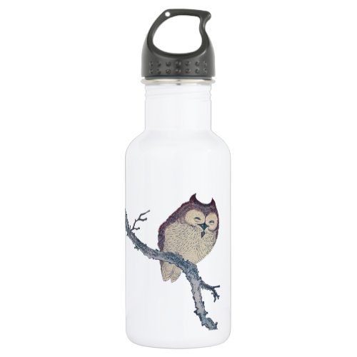 Japanese Sleeping Owl Night Artwork Stainless Steel Water Bottle