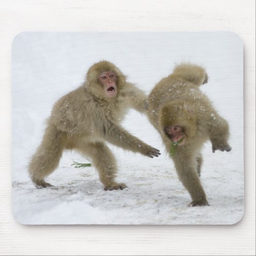 Japanese Snow Monkey cubs playing on snow Mouse Pad