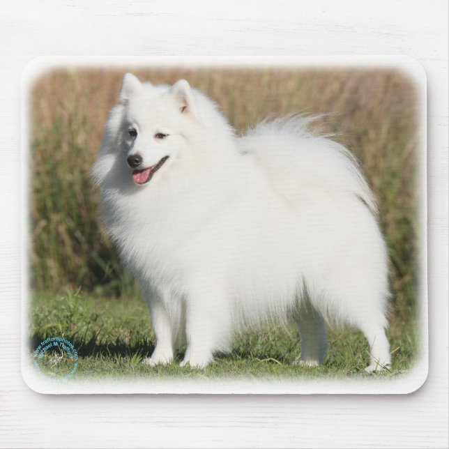 Japanese Spitz 9Y576D-261 Mouse Pad (Front)