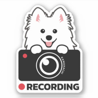 Japanese Spitz Dashcam Warning vinyl sticker