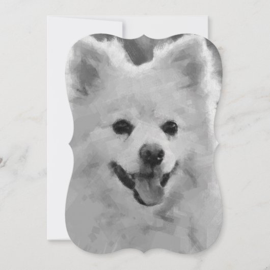 Japanese Spitz Dog (Front)